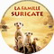 LA FAMILLE SURICATE